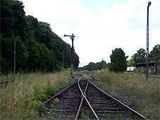 min 339 9.jpg min 339 9.jpg